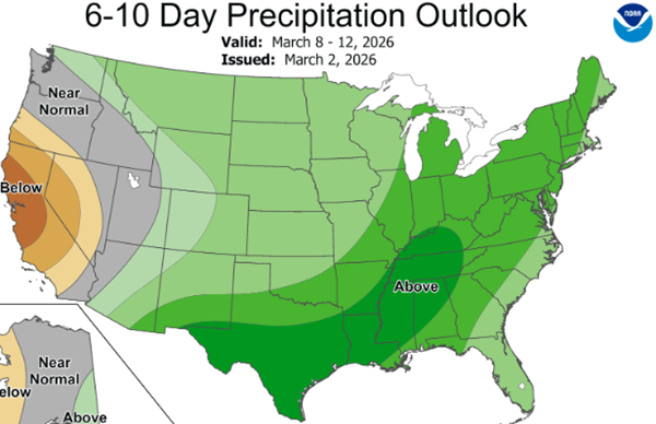 Maybe 80 degrees later this week, some severe storms possible