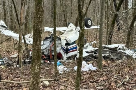 Pilot survives plane crash in Union County
