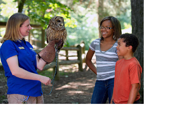 Most LBL facilities now open for the season