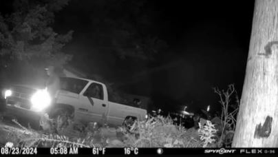 Alleged copper thieves hit same business two days in a row