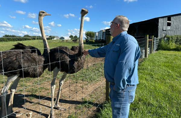 Kentucky man with meat allergy was craving a burger, so he got into ostrich farming