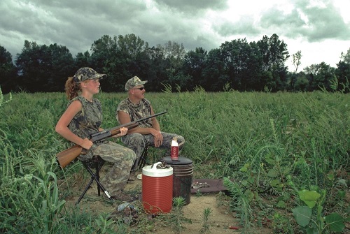 Kentucky dove hunting season now open