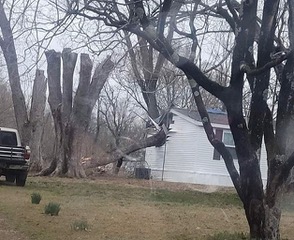 60-mph wind gusts bring down trees, power lines in three states