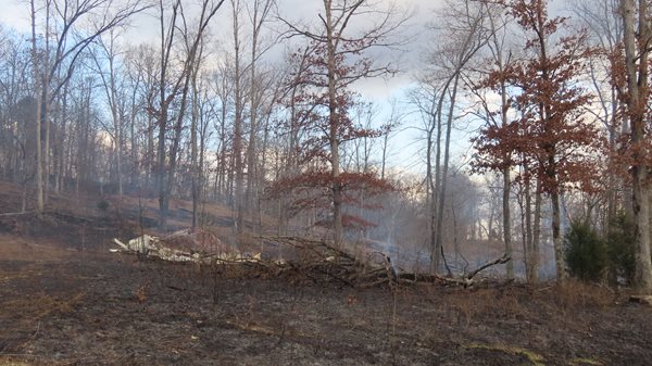 Trigg County 10-acre fire destroys vacant mobile home