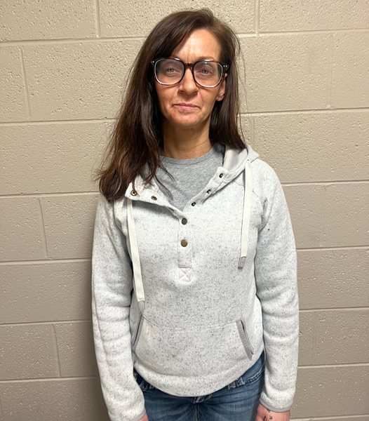 Joint drug investigation leads to methamphetamine trafficking arrest