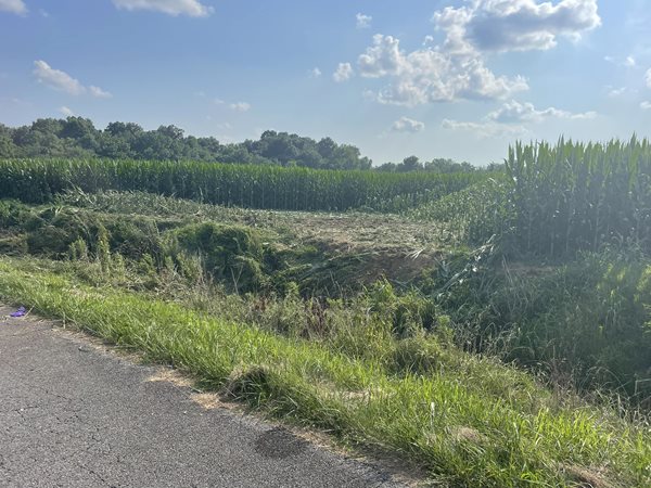 Pilot killed in Graves County crop duster crash