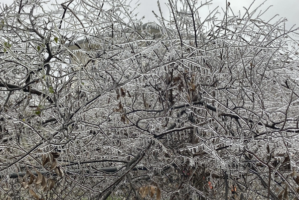 Effects of winter storm vary by state and county