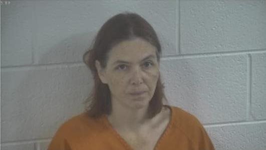 Springville, TN woman jailed on drug charges 