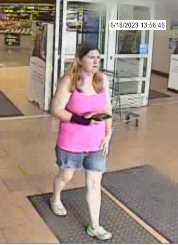 Several shoplifting suspects sought in Princeton