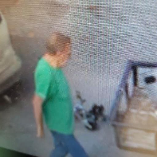 Information sought on Livingston trailer theft suspect