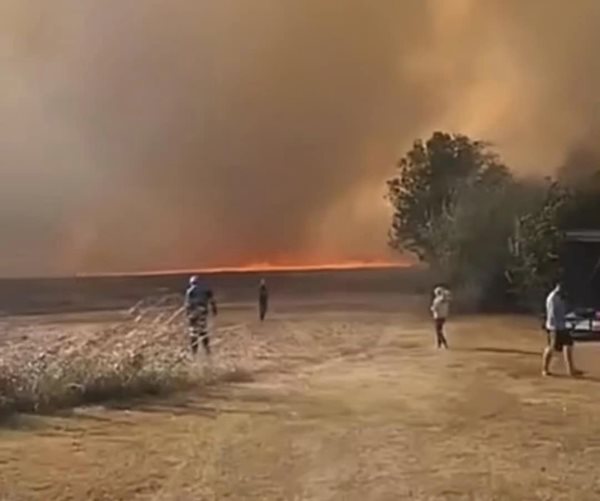 West Kentucky Star News