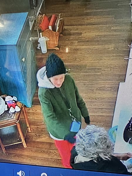 Princeton police searching for female suspect 