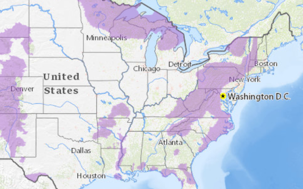Black bear spotted on LBL trail cam in Tennessee