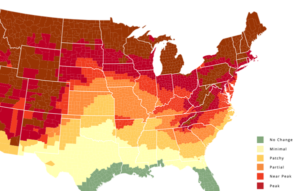 Next week is peak leaf-watching season in the Smoky Mountains