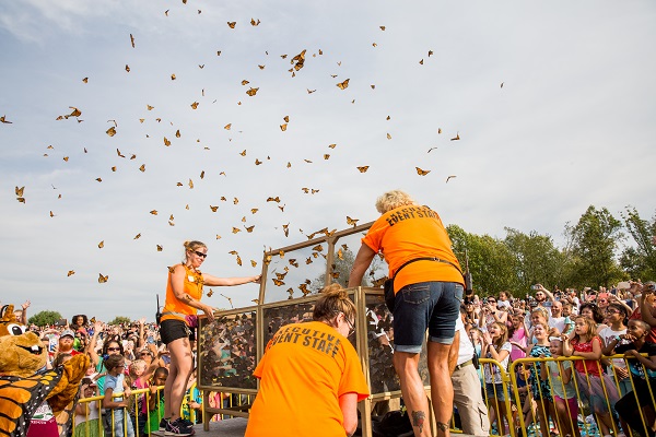 Monarch butterfly festival at Oak Grove in September