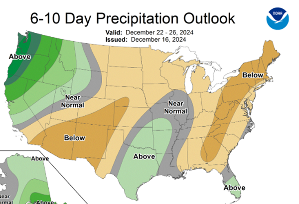 10-day forecast doesn't rule out a white Christmas