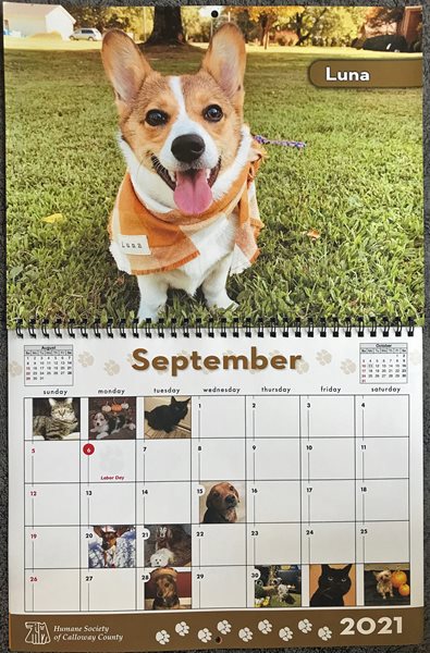Photos sought for humane society's 2022 pet calendar