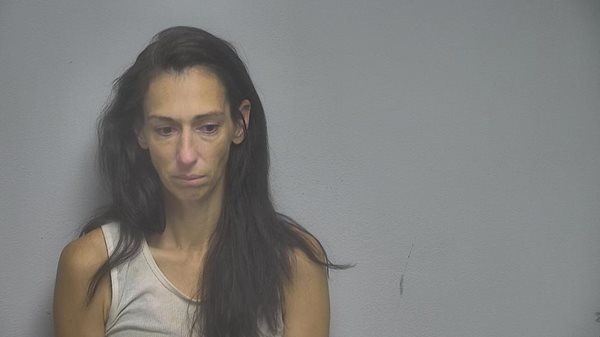 Theft investigation leads to drug charges for Paducah woman and Mayfield man