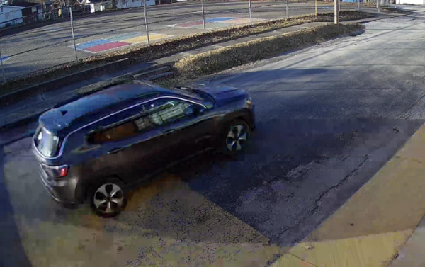More details released in Vienna armed robbery
