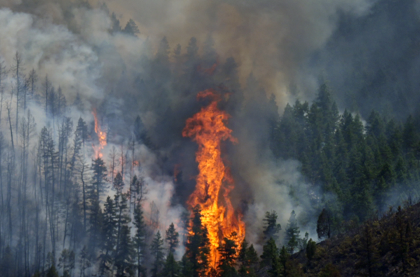 One dead as wildfires threaten Denver metro area