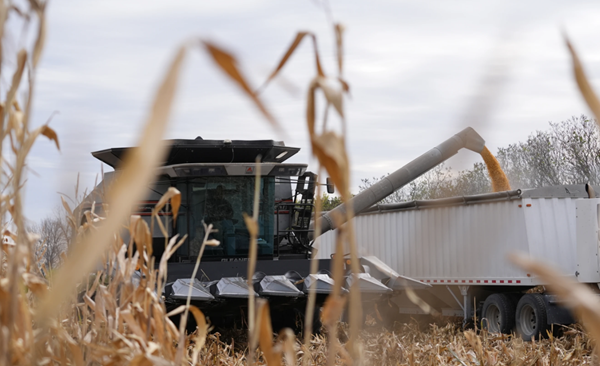 Farmers deal with winter wallop and its effect on plans for spring