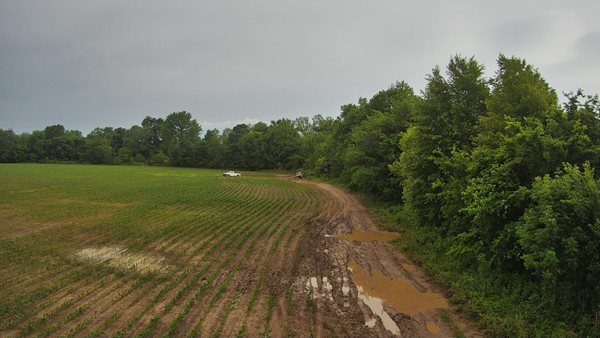Three charged with trespassing, damaging planted Graves farmland