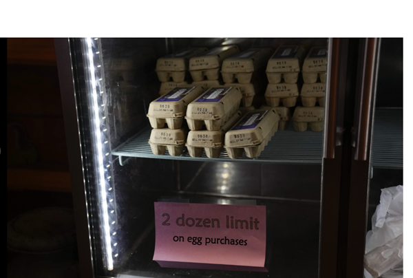 Nevada hopes relaxing cage-free law will relieve their egg shortage